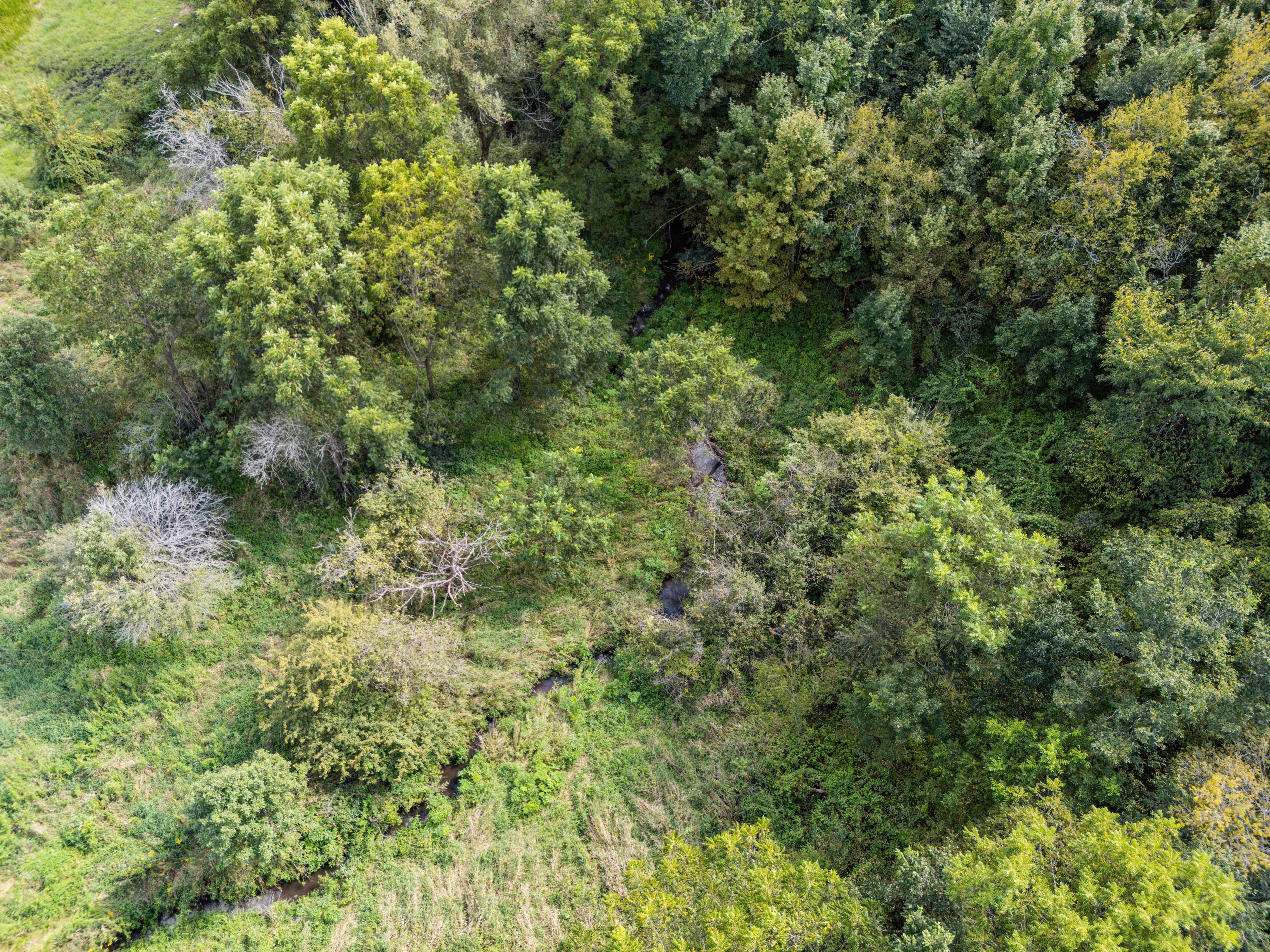 Listing Photo: 49-509 7985 Spore Rd Drone